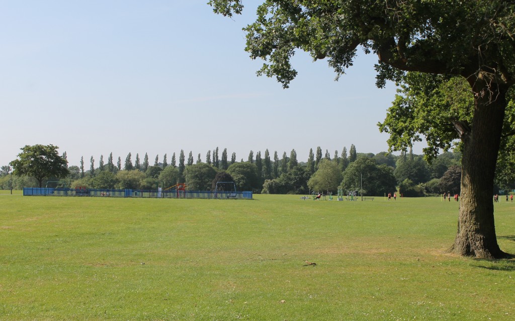 Playing Fields and Underhill // High Living