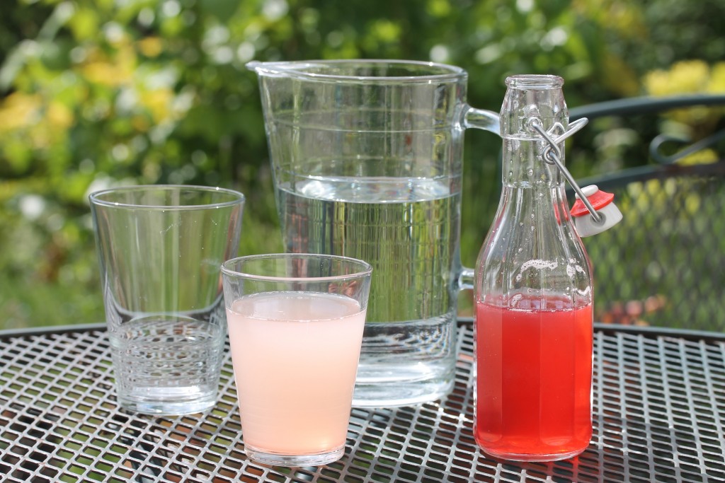 HomeMade Fruit Cordial // High Living