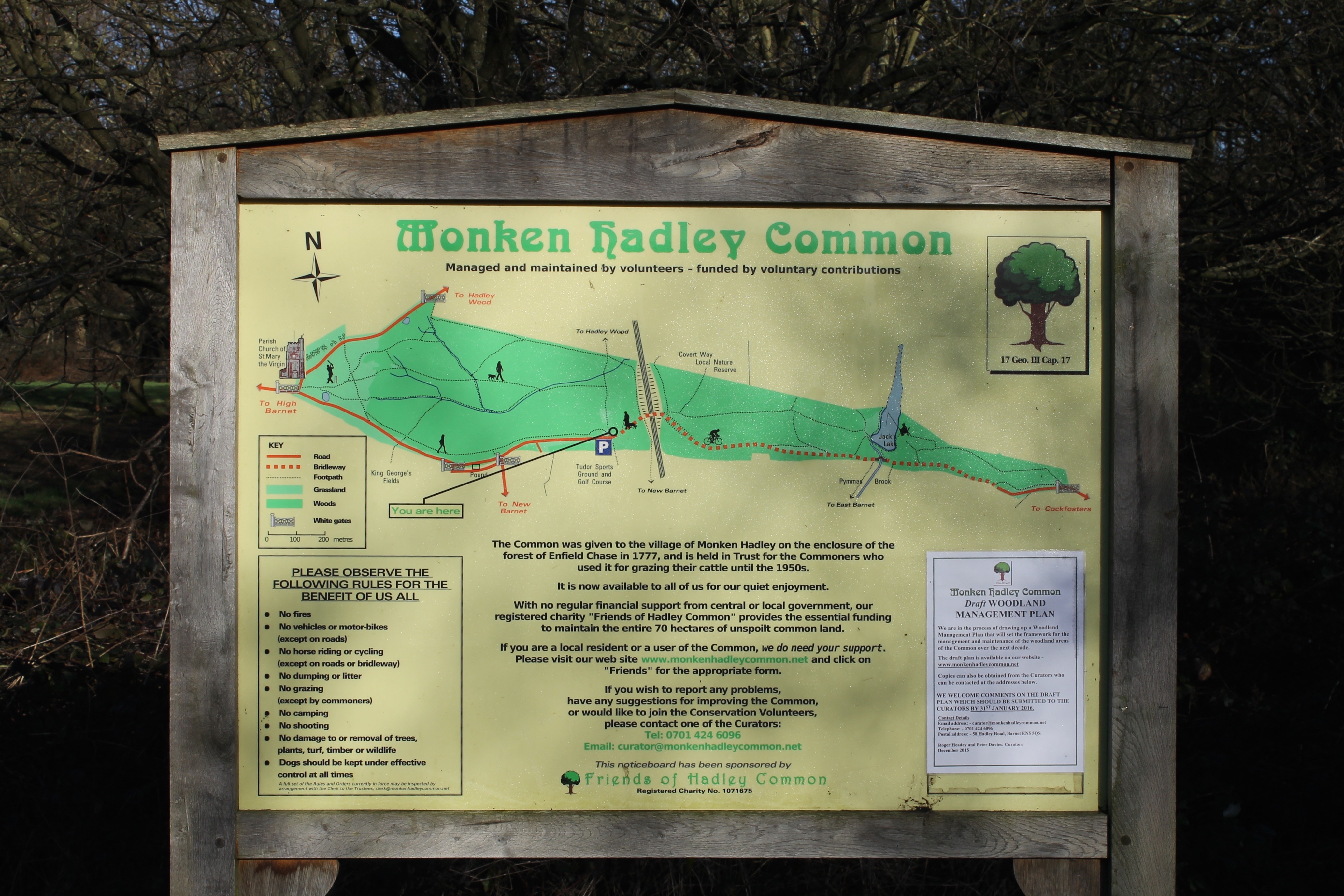 Hadley Common 9