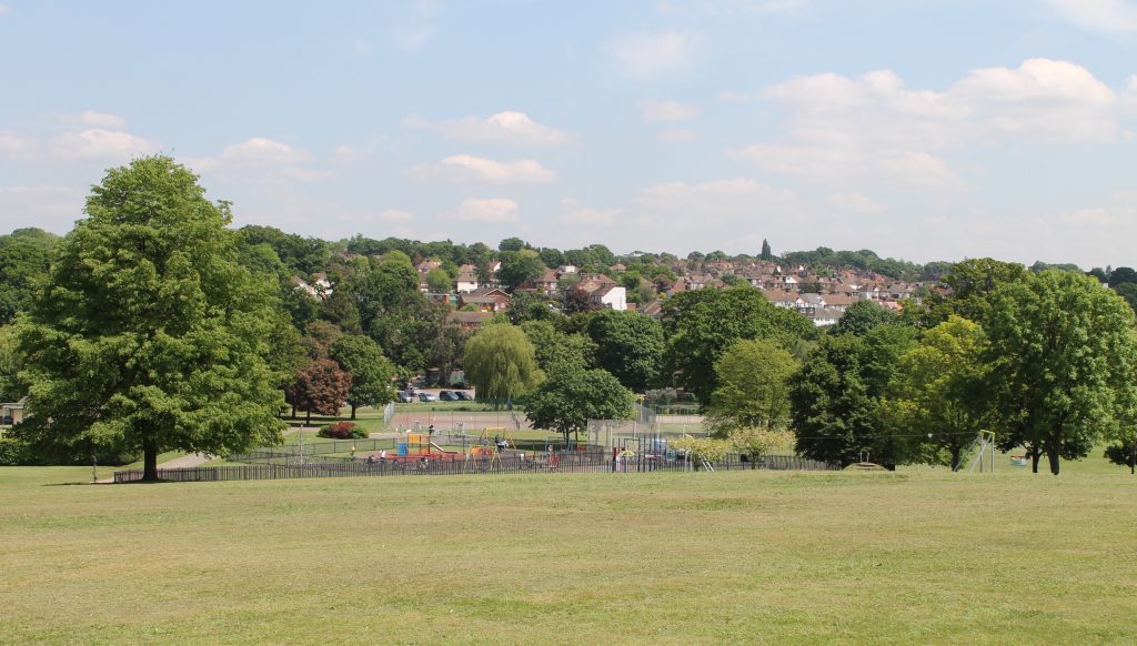 Oak Hill Park and Historic East // High Living