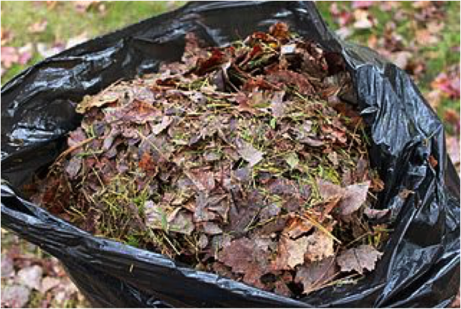 autumn-compost-in-bag