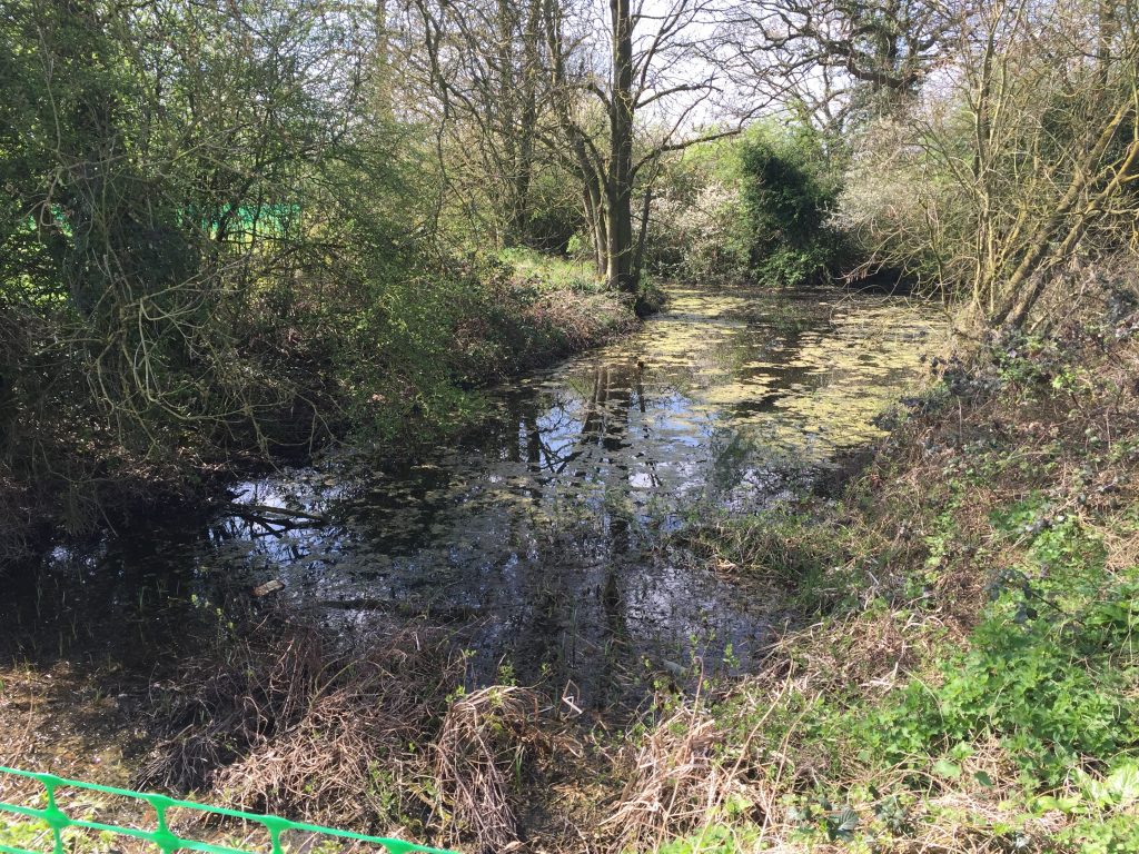 Lewis of London at Fold Farm The Ice Cream Farm // High Living