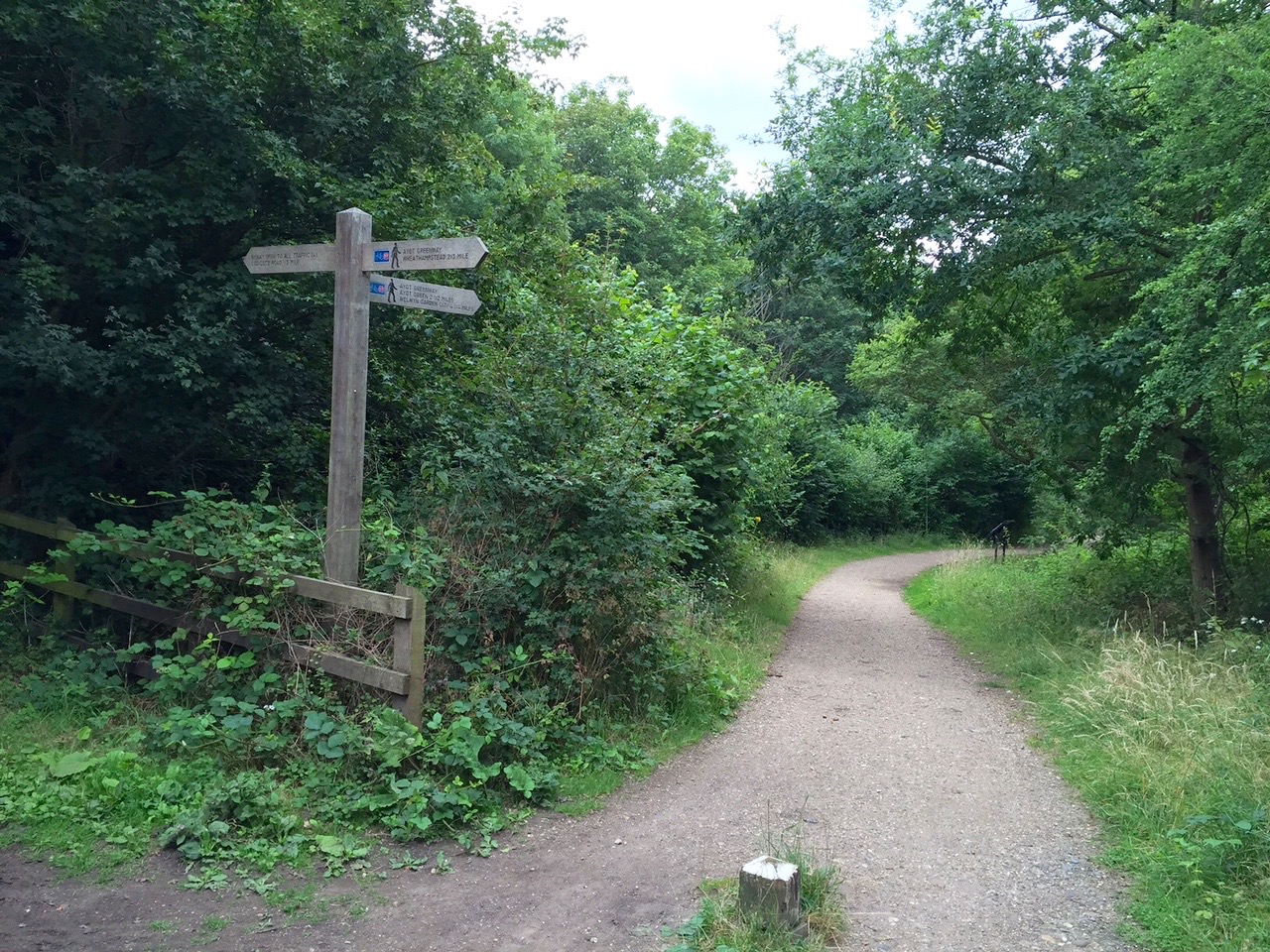 Ayot Greenway4 (1)