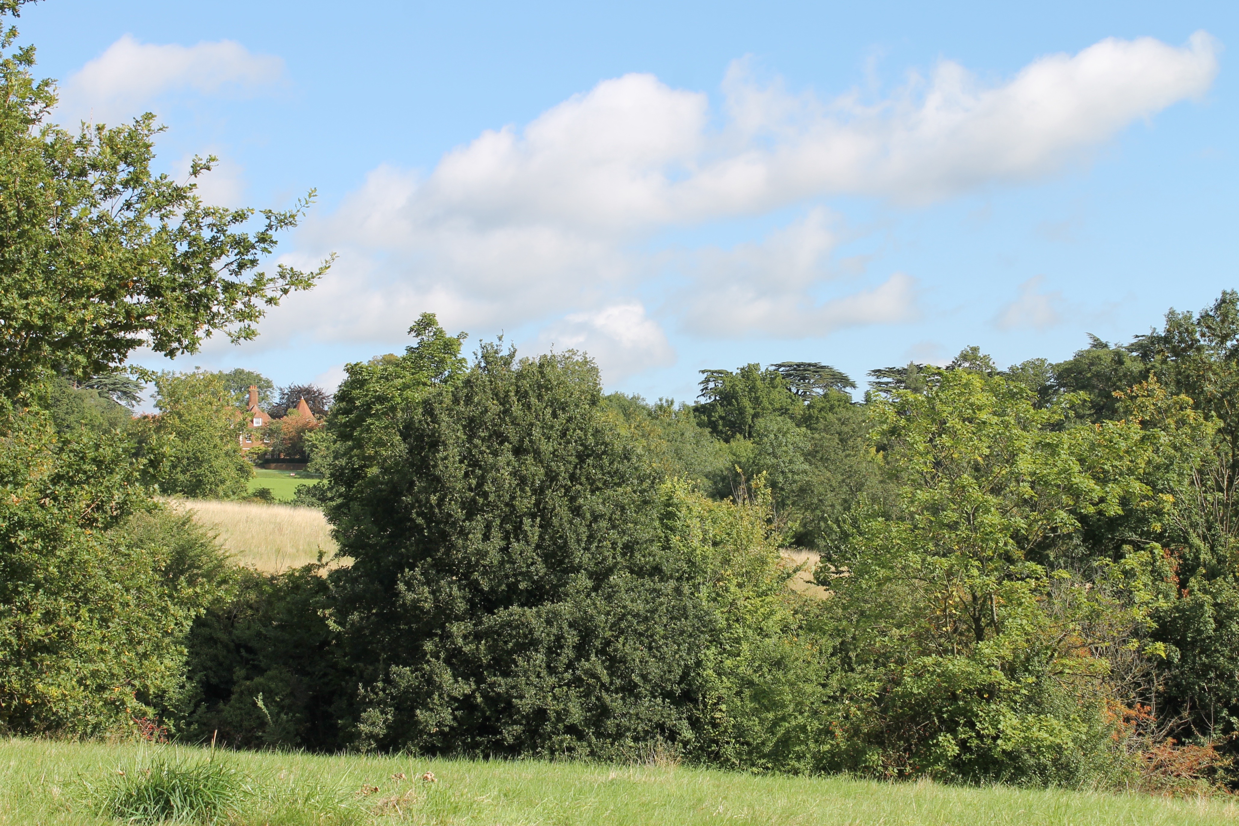 Barnet Hadley walk 3