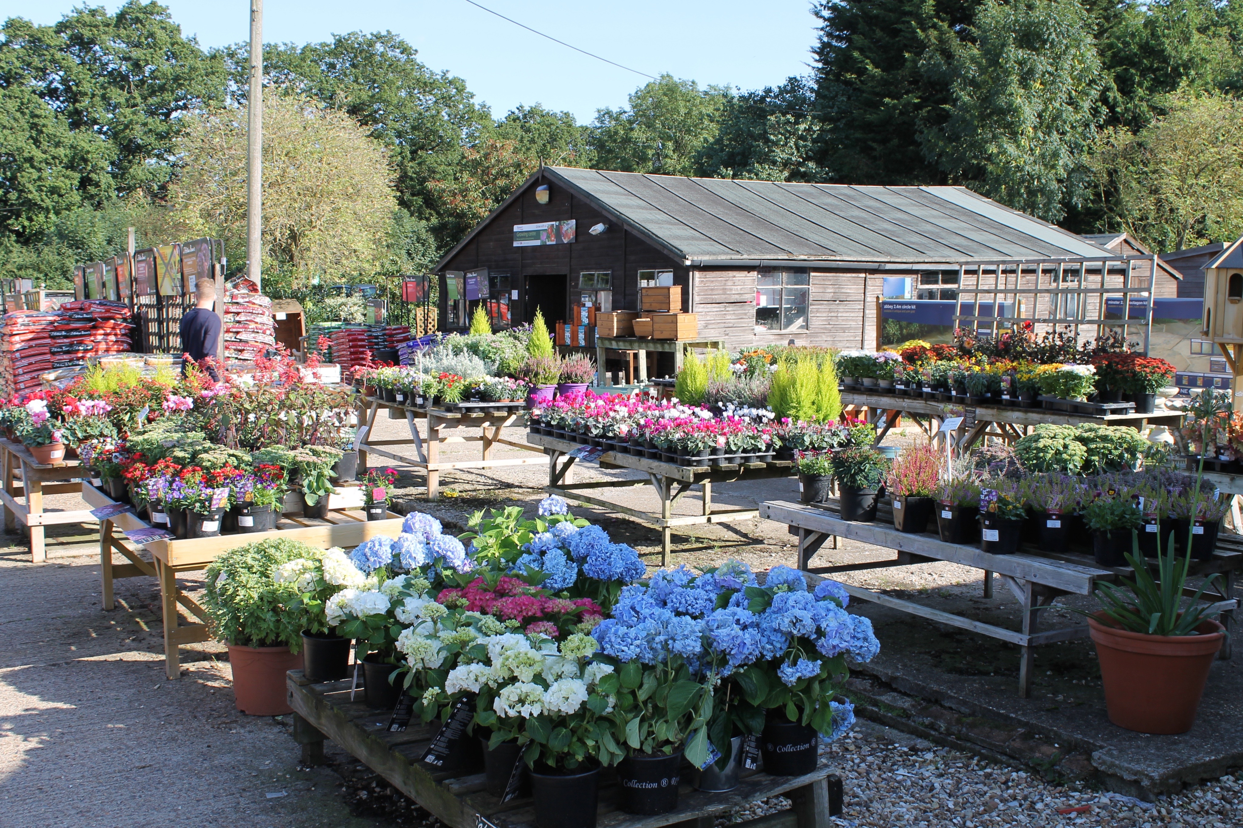 Finchley Nurseries3