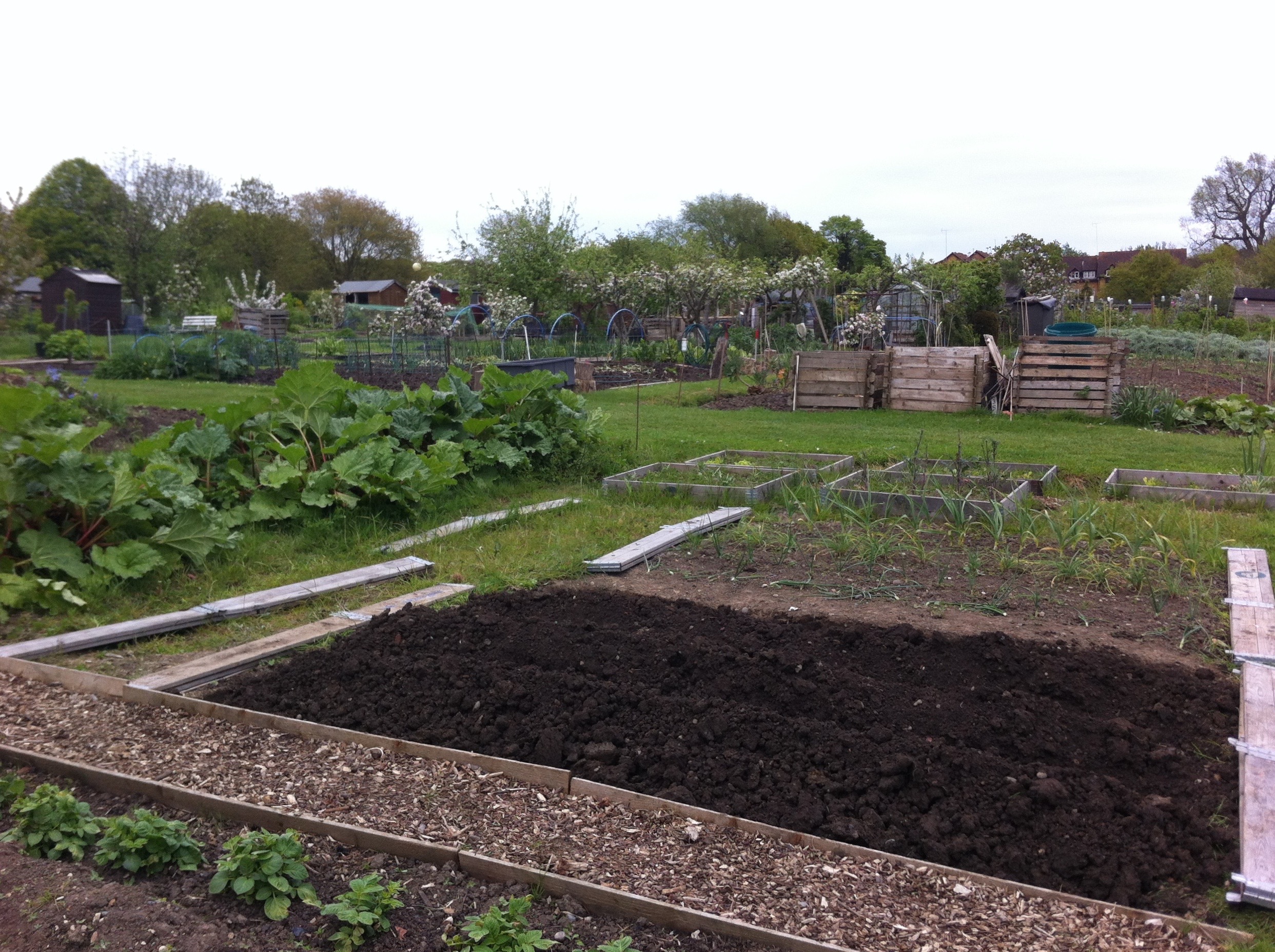 Allotment 2 (1)