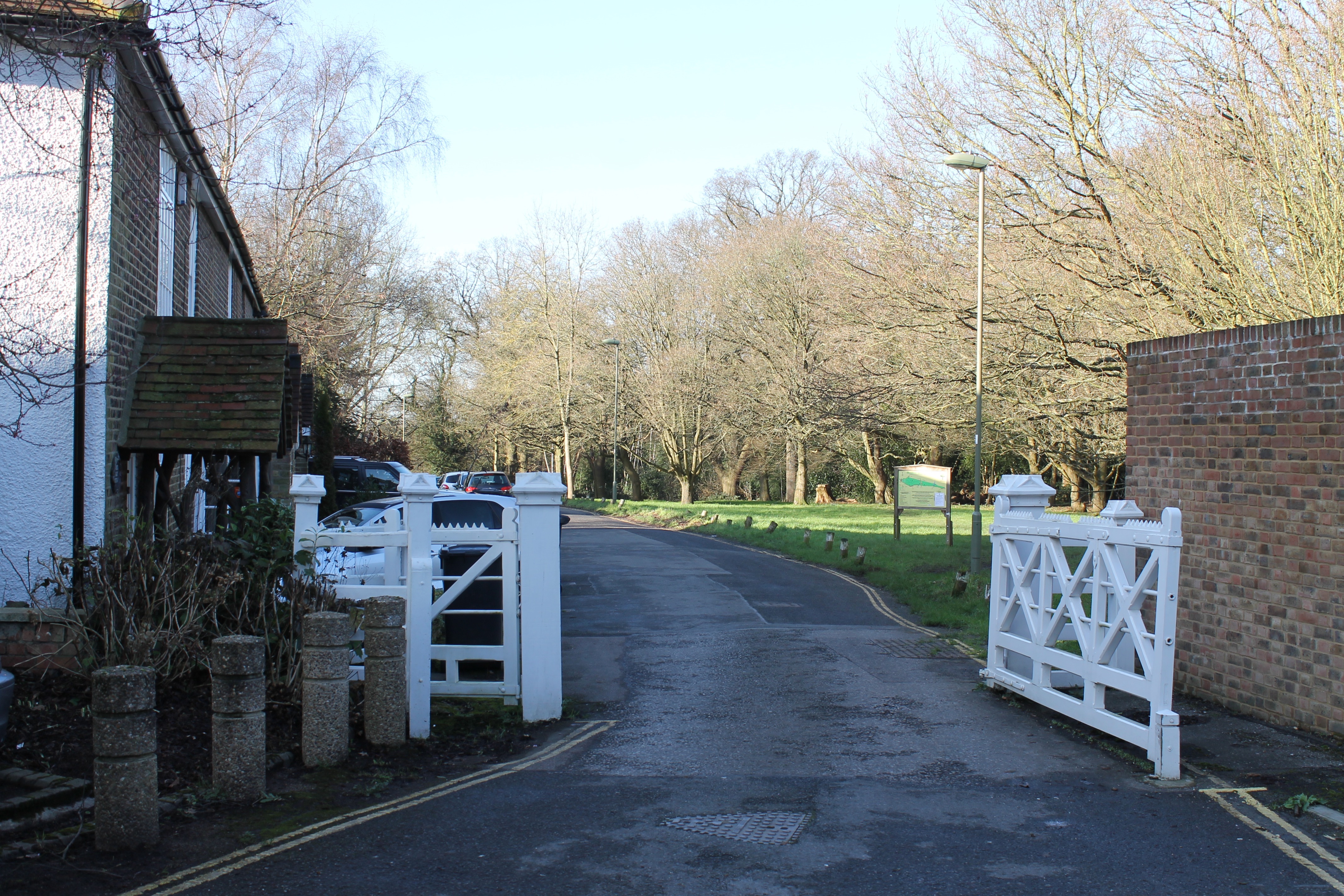 Hadley Common 10