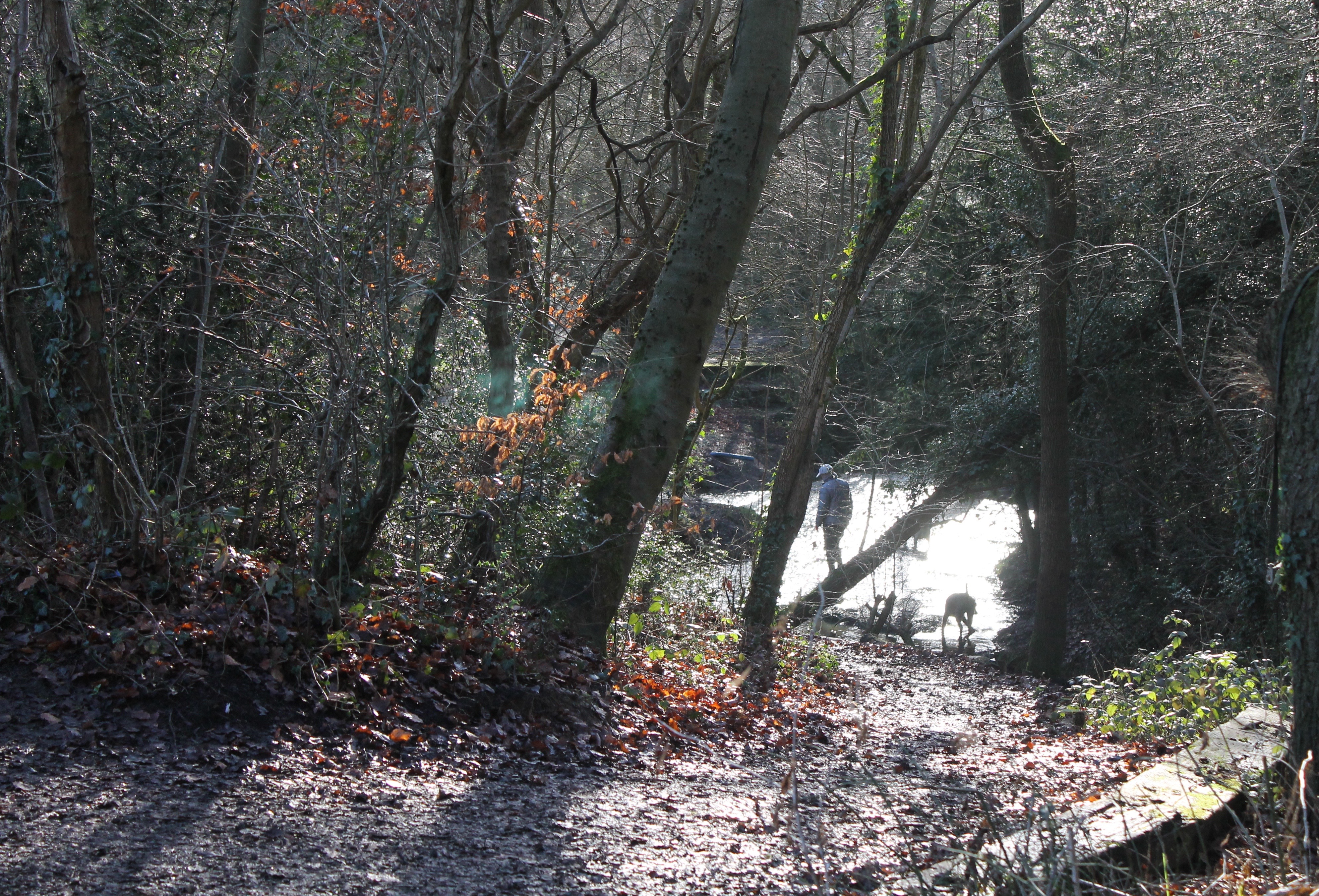 Hadley Common 3