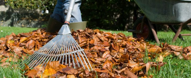 autumn-gardening-sweeping-leaves // High Living Barnet