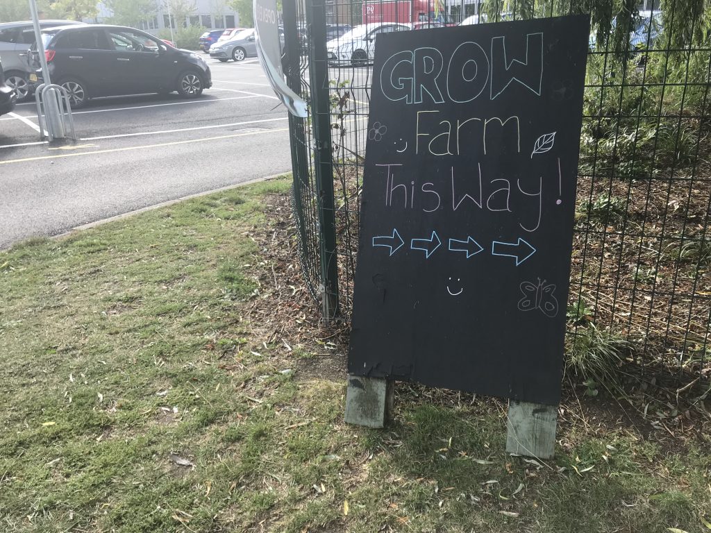 Visiting GROW at Totteridge Academy // High Living